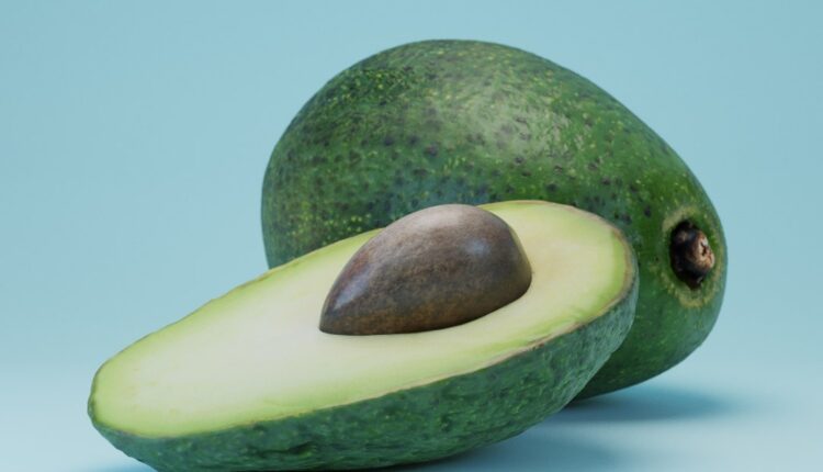Download Free 3D Avocado fruit Model by Blenderboom