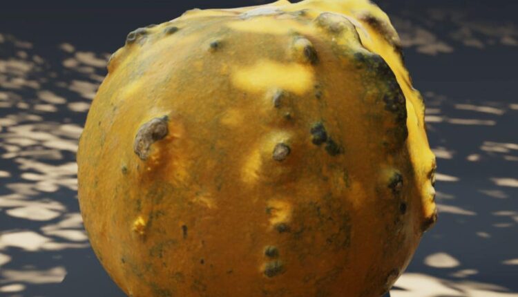 Download Free 3D Decorative pumpkin Model