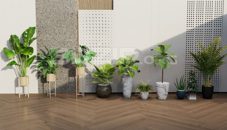 11970. Free 3ds Max Plants Models Download (1)