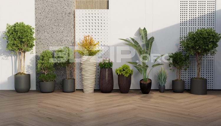11971. Free 3ds Max Plants Models Download (1)