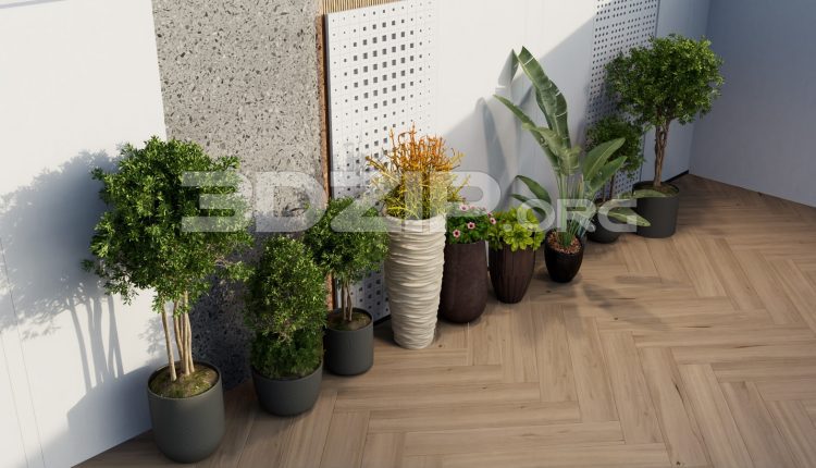 11971. Free 3ds Max Plants Models Download (2)