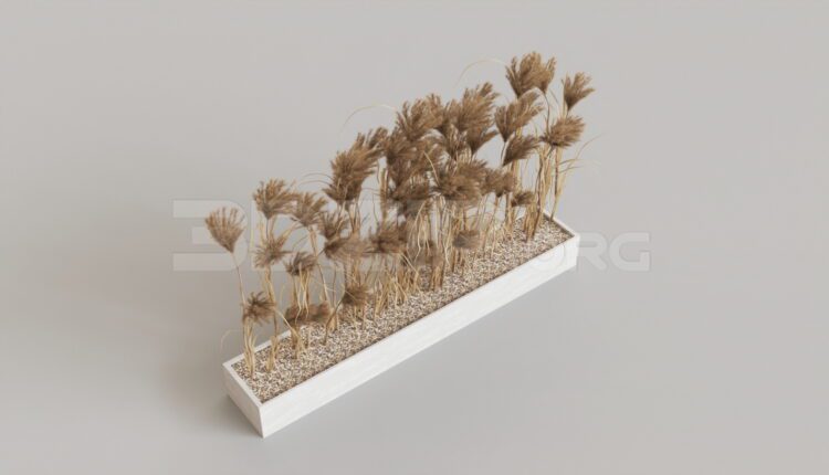 15582. Free 3ds Max Tree Model Download (2)