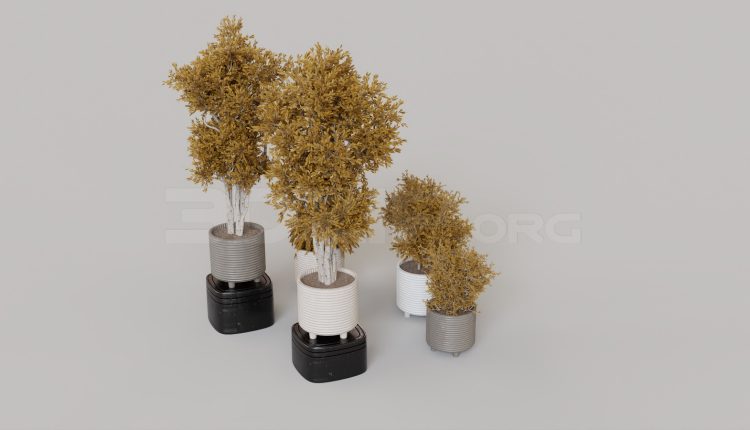 11996. Free 3ds Max Plant Model Download (2)