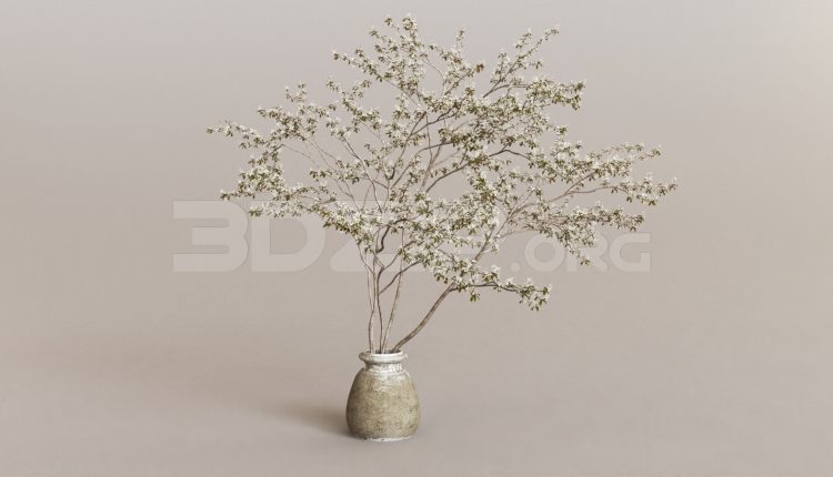 15752. Free 3ds Max Flower Model Download (1)