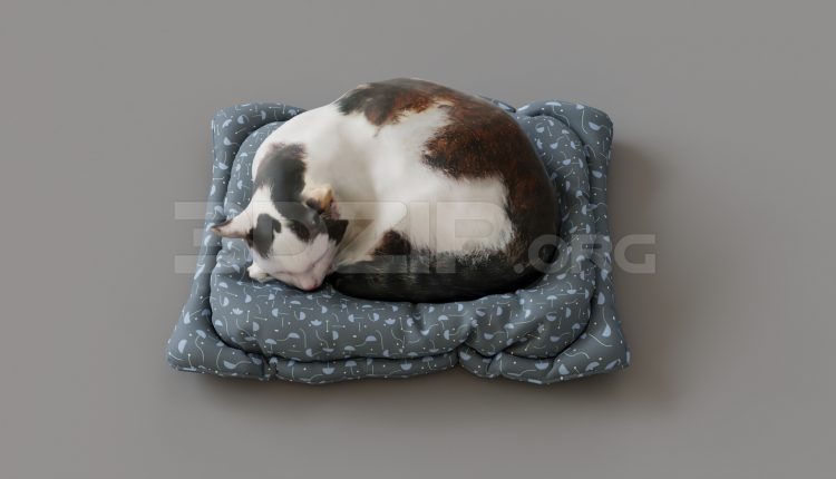 15839. Free 3ds Max Animal Cat Model Download (2)