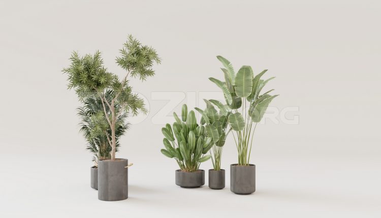 15918. Free 3ds Max Tree Model Download (1)