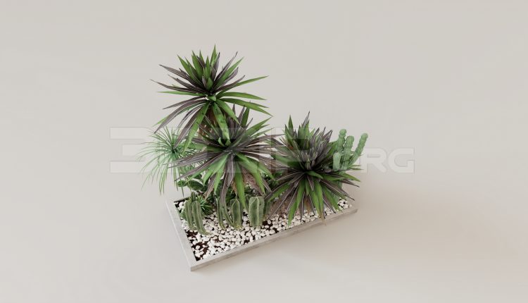 15937. Free 3ds Max Plant Model Download (2)