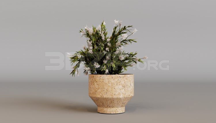 15947. Free 3ds Max Flower Model Download (1)
