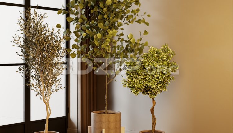 20010. Free 3ds Max Plants Models Download (1)