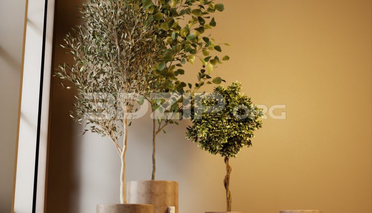 20010. Free 3ds Max Plants Models Download (2)