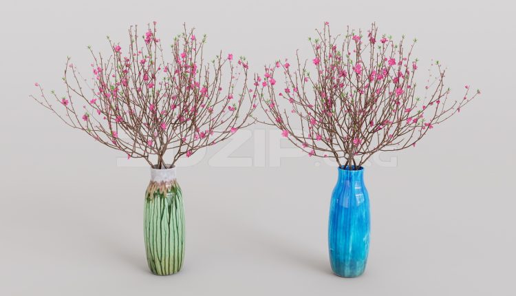 20034. Free 3d Cây Đào Ngày Tết Model Download (1)