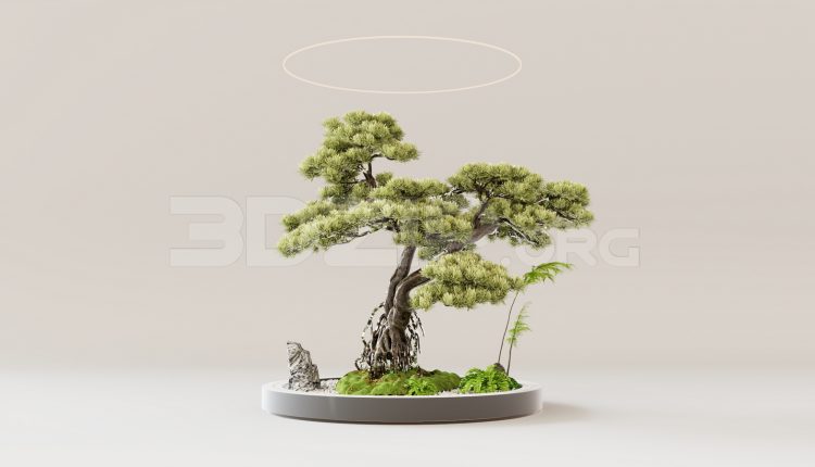 16072. Free 3ds Max Bonsai Tree Model Download (1)