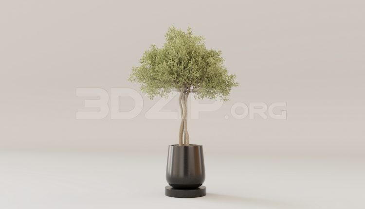 16117. Free 3ds Max Tree Model Download (1)