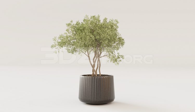 16139. Free 3ds Max Tree Model Download (1)