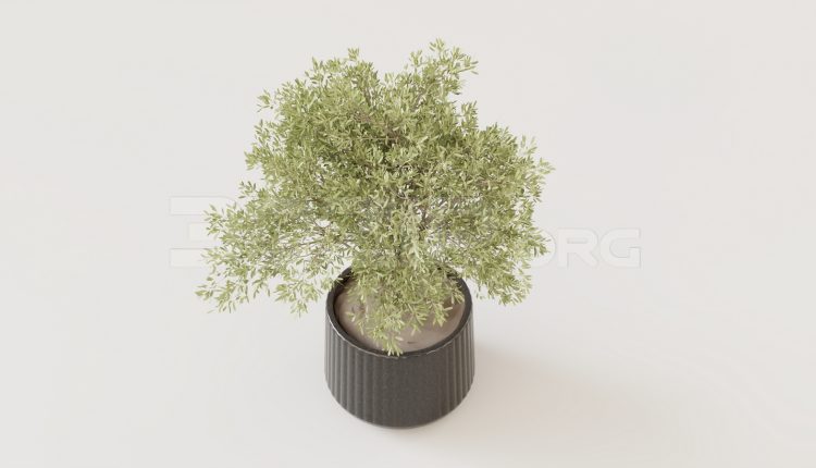 16139. Free 3ds Max Tree Model Download (2)