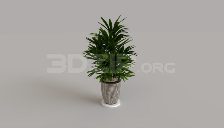 16211. Free 3ds Max Plant Model Download (1)