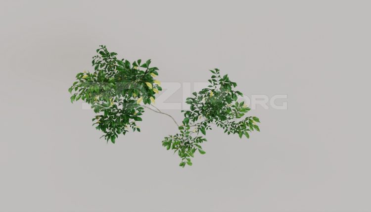 20046. Free 3ds Max Plant Model Download (1)