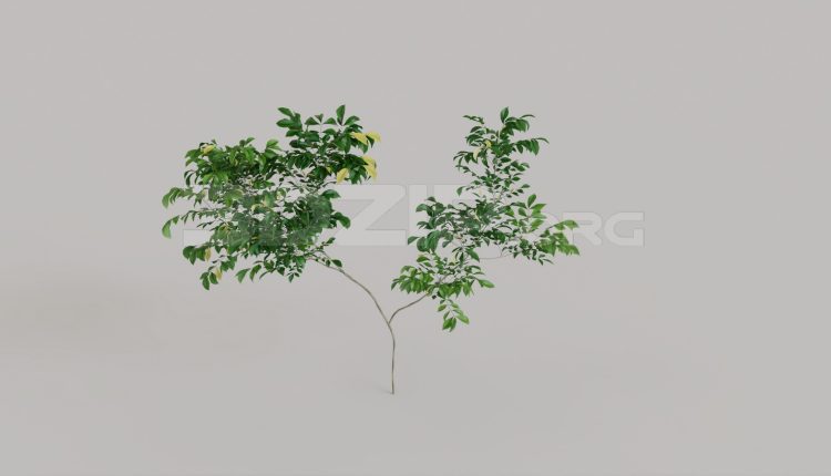20046. Free 3ds Max Plant Model Download (2)