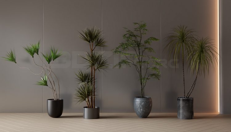 20047. Free 3ds Max Plants Models Download (1)
