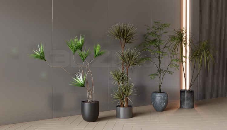 20047. Free 3ds Max Plants Models Download (2)