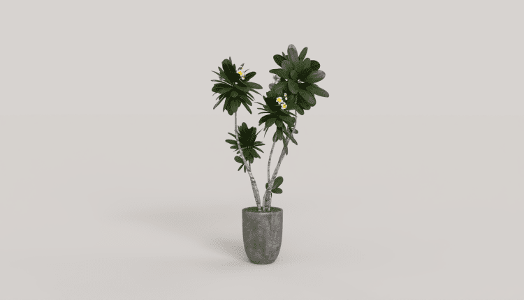 16293. Free 3ds Max Plant Model Download (2)