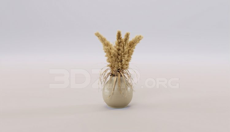 16418. Free 3ds Max Pampas Grass Model Download (1)