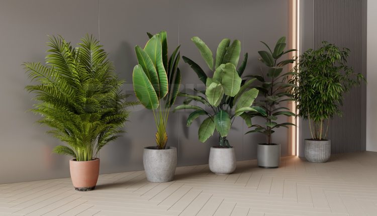 20051. Free 3ds Max Plants Models Download (2)
