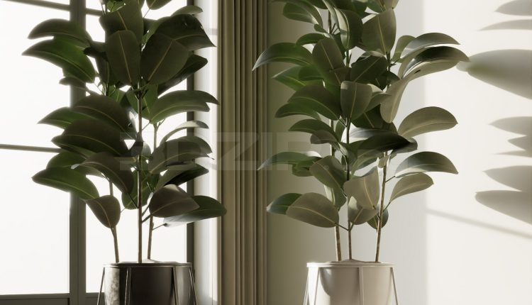 20054. Free 3ds Max Plants Models Download (1)