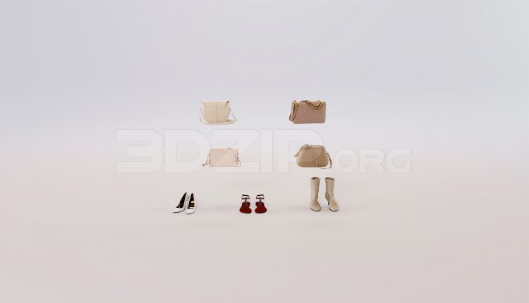 16724. Free 3ds Max Handbags And Shoes Model Download (2)