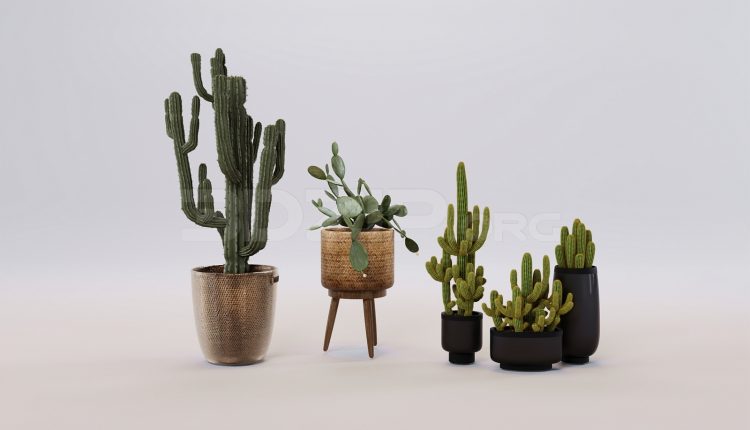 17098. Free 3ds Max Plant Model Download (1)