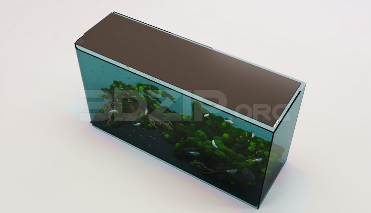 17657. Free 3ds Max Aquarium Tank Model Download (2)