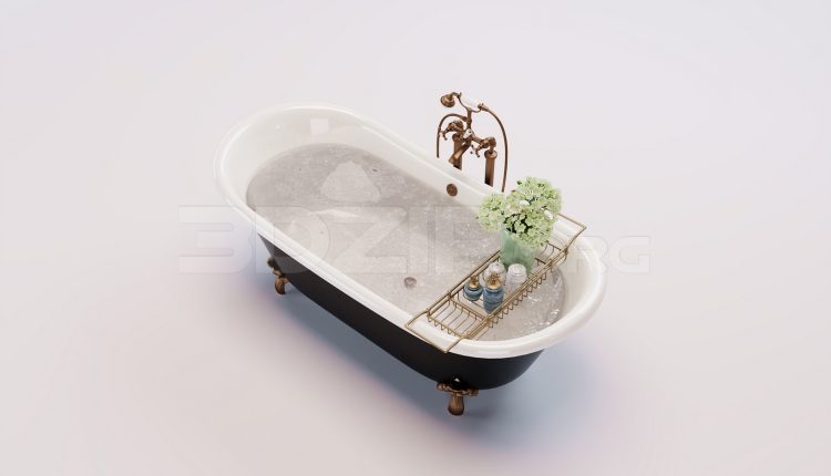 17843. Free 3ds Max Bathtub Model Download (1)