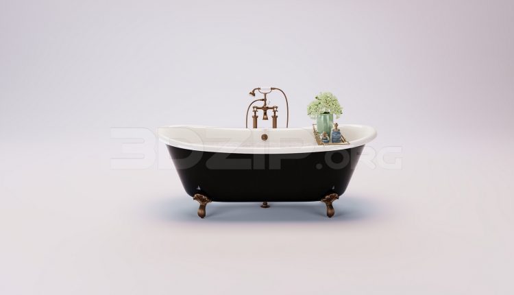 17843. Free 3ds Max Bathtub Model Download (2)