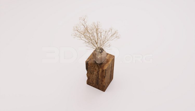 18021. Free 3ds Max Flower Model Download (1)