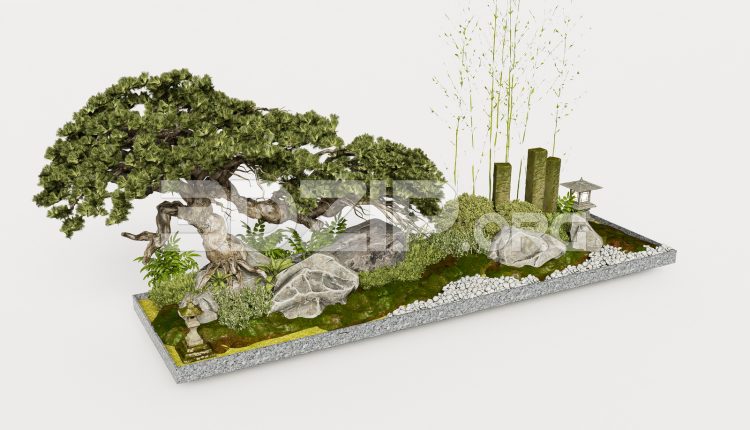 19076. Japanese Garden Design 3ds Max – Artistic Bonsai, Rock Garden & Moss Ground (2)