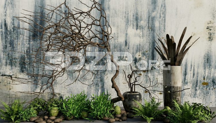 19168. 3ds Max Zen Interior Decor Bonsai Tree, Stones and Natural Plant Arrangement (1)