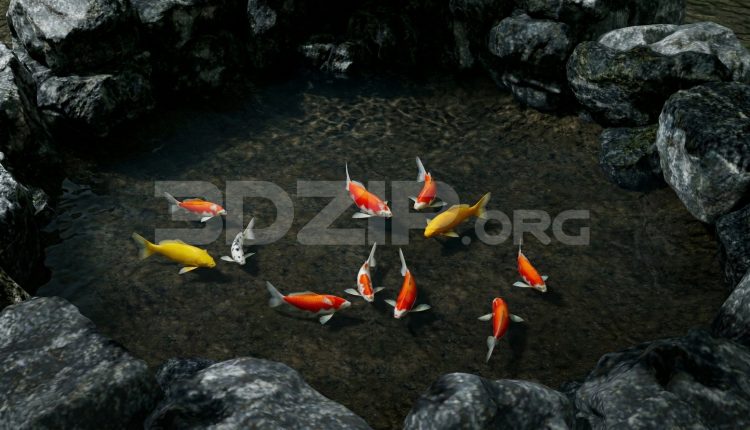 19203. 3ds Max Japanese Koi Pond with Natural Stone Surroundings and Crystal Clear Water Render (1)